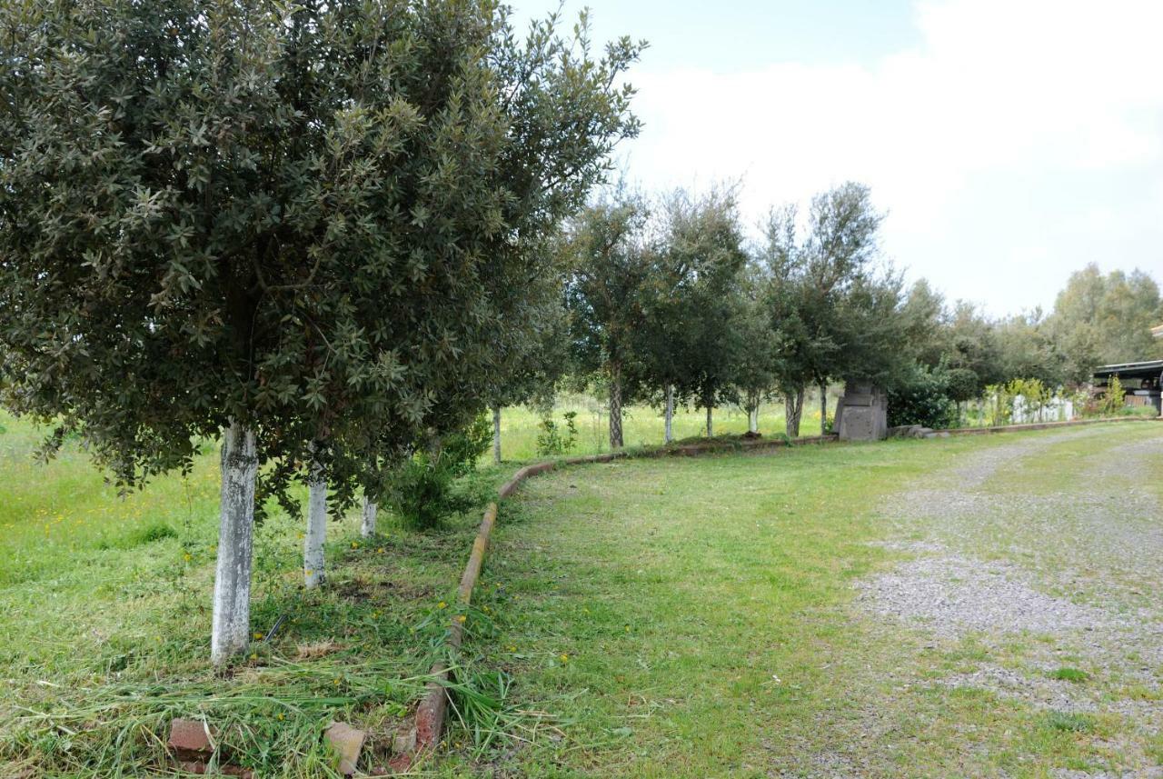 Tra Mare E Monti Διαμέρισμα Santa Giusta Εξωτερικό φωτογραφία