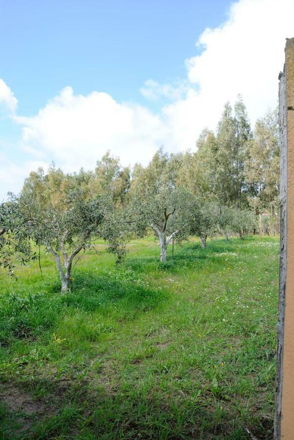 Tra Mare E Monti Διαμέρισμα Santa Giusta Εξωτερικό φωτογραφία