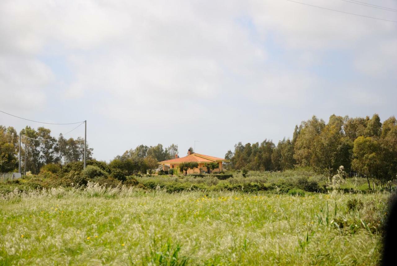 Tra Mare E Monti Διαμέρισμα Santa Giusta Εξωτερικό φωτογραφία