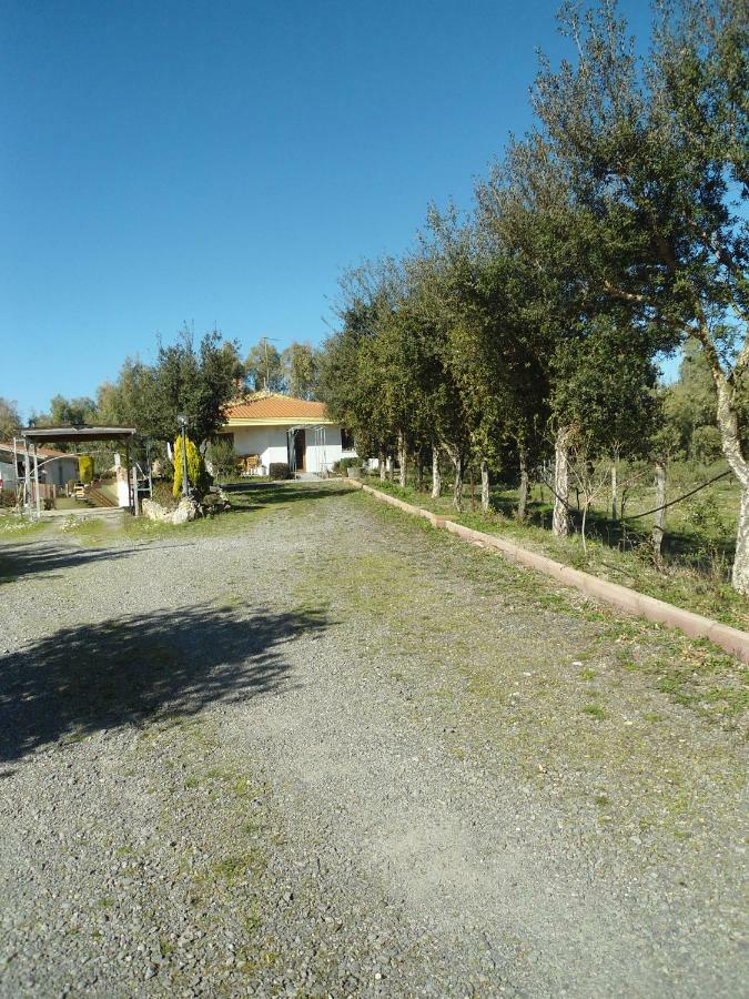 Tra Mare E Monti Διαμέρισμα Santa Giusta Εξωτερικό φωτογραφία