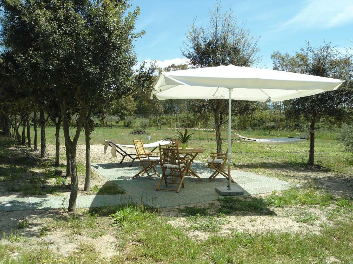 Tra Mare E Monti Διαμέρισμα Santa Giusta Εξωτερικό φωτογραφία